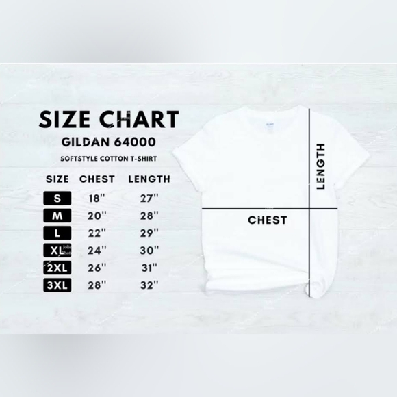 Native Feathered Horse Graphic Tee – Western Boho T-Shirt for Women - Picture 6 of 14